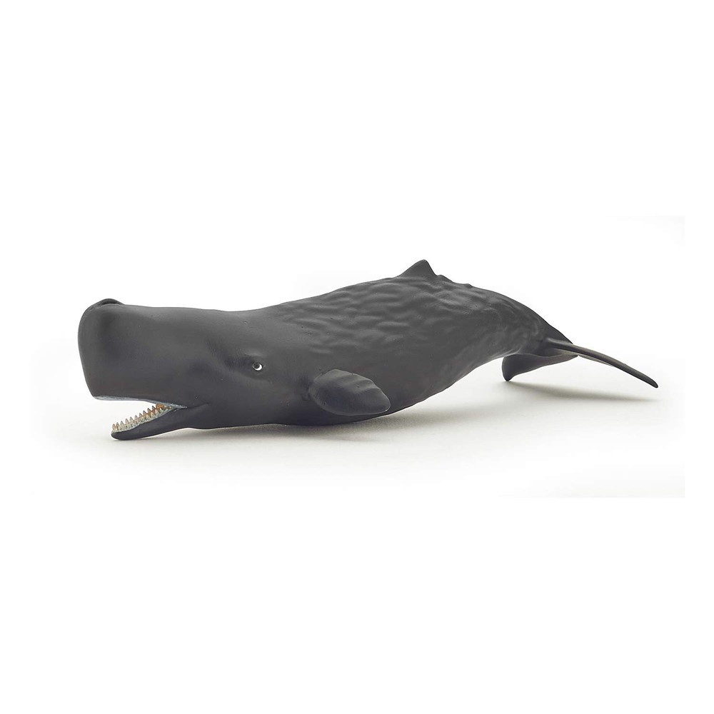 Papo Sperm Whale Calf Hand Painted Figurine – Heirloom Quality Collectible No.