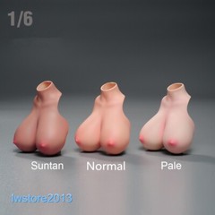1:6 Pale Skin Normal Breast Bust Cover Model F 12” Female TBL PH Figure Body