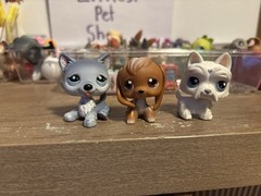 LPS Littlest Pet Shop LOT!! Ask Me Questions Regarding Littlest Pet Shop!! Read