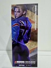 PLAY TOY P027 1/6 The Fighter 6 Girl Cammy Collectible Female Action Figure Toy
