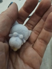 Sanrio Kuromi Fluffy Little Darling Moetch Bean Purple Flocked Miniature Figure