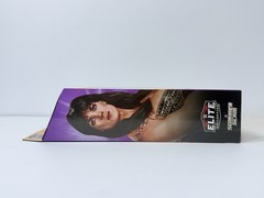 WWE Chyna Elite SummerSlam 2026 Mattel Figure BAF Jesse Ventura