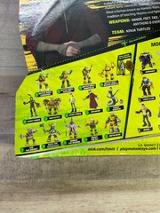 TMNT Sensei Splinter Tales Of The Ninja turtles Nickelodeon 2017 SEALED D2