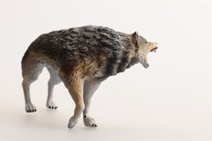 Earth Story Male Dire Wolf Model Prehistoric Animal Figure Adult Kids Gift Toys