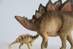 PNSO 1/35 Stegosaurus with Cubs Figure Model Dinosaur Collections Toys Gift