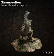 ITOY Juvenile Velociraptor Figure with Base Collections Dinosaur Model Gift Toys
