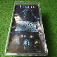 NECA ALIENS XENOMORPH WARRIOR(BLUE)AF 2013 SEALED DISPLAYED