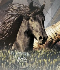 Royal Breeds Black Friesian Horses 85105 Play Set And Extras Lanard Toys New