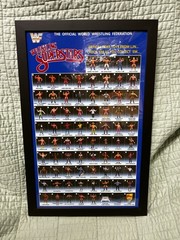 WWF Custom Made LJN Framed Check List Poster.. 11×17 Black Plexi Frame.. WWE