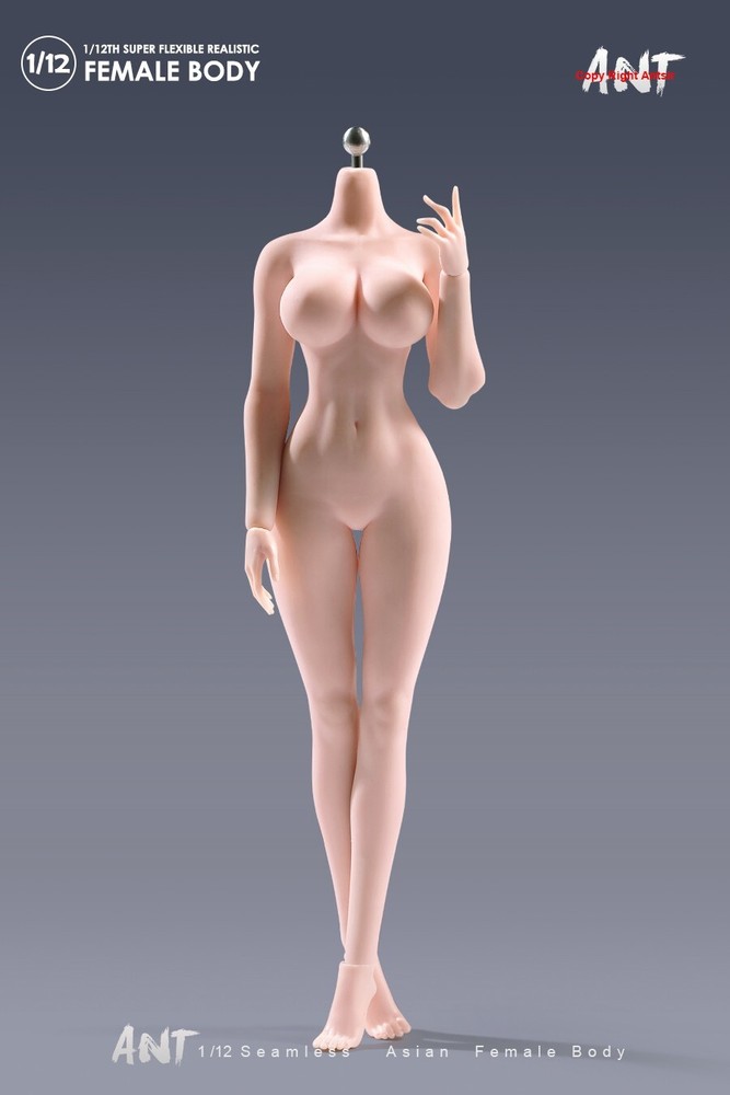 1/12 Female Pale Skin Super Large Breast Plump Hip Seamless Body 6”Figure Toys