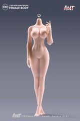 1/12 Female Pale Skin Super Large Breast Plump Hip Seamless Body 6”Figure Toys
