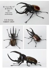 The Diversity of Life on Earth Beetle 10 Action Figure Bandai Capsule Toy