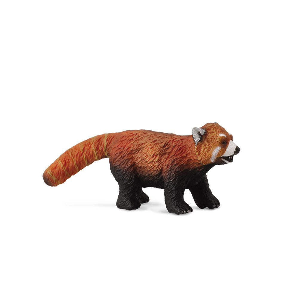 CollectA Realistic Animal Replica Red Panda Figure Medium Ages 3 Years and Up