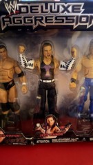 JAKKS Pacific WWE Deluxe Aggression Randy Orton Jeff Hardy Edge Figure Set