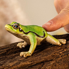 Schleich Wild Life – European Tree Frog Toy Figurine. Realistic Hand-Painted Ani