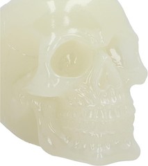 Nemesis Now Phosphorescent Glow in Dark Skull Figurine, Resin, Luminous Green, 1