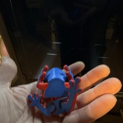 Puerto Rican frog, coquí 3D printed/ tree Frog collectible with hidden Mag.