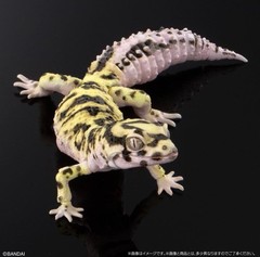 Bandai Ikimono Daizukan Advance SELECTED EDITION 02 Online Ver. Complete Set 4