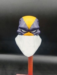 Hot Toys Custom The Maxx Head Pointy Teeth 1/6 Scale Painted