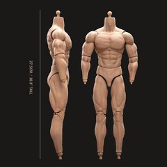1/6 Scale BD003 Muscular Male Action Figure Body For 12″ Hot Toy Soldier Head Cj