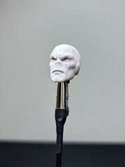 Marvel legends chameleon