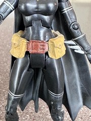 Mattel DC Superheroes Batgirl Cassandra Cain Select Sculpt Series 2007