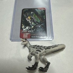 2025 Jurassic World Rebirth CaptivZ Velociraptor Figure with Card – HTF