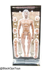1/6 Scale Generation K Muscle Body w/Headsculpt – MINT IN BOX