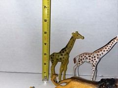 Animal Toy Plastic Figure Safari Zoo Forest Jungle Safari Toy Major Unknown