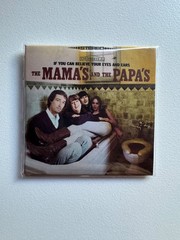 Mini Brands Really Works Vinyl Record – You pick! In hand