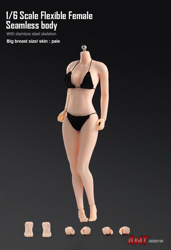 US 1:6 Pale Skin Large Bust Breast 12″ Female Seamless Flexible Figure Body Toys