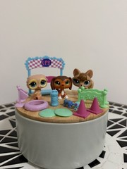 Littlest Pet Shop LPS Pet Training Park set #673 #674 #675 – Savvy 🧡