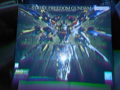 Bandai MG Strike Freedom Gundam Z.A.F.T. Mobile Suit ZGMF-X20A Extreme Metallic