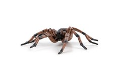 – Realistic Spider Figure – Ages 3+ – Garden Animals Collection – Educational…