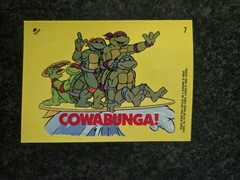 Teenage Mutant Ninja Turtles 11 Sticker Lot, 5 Sticker Card, 4 Mirage Stickers