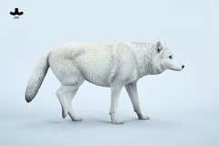 JXK 1/6 Common Gray Wolf Model Collections Animal Figure Decor Toys Xmas Gift