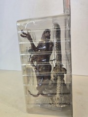 McFarlane Movie Maniacs The Thing Blair Monster Figure NIB 2000