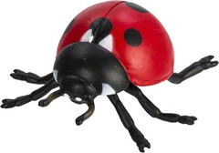 Interactive Life Cycle of a Ladybug Toy for Ages 3+ with No Assembly Required