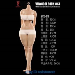 VERYCOOL Silicone Body Fit 1/6 Female Action Figure Model Collection 12”