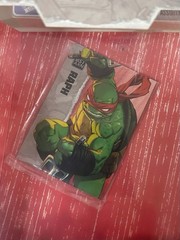 BST AXN TMNT Raphael IDW Comic Book Action Figure – Open Box Missing 1 Sai