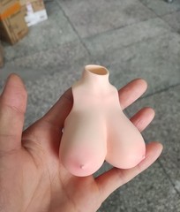 1:6 Female Bust Cover Normal Skin Big Breast Model F 12” TBL Action Figure Body