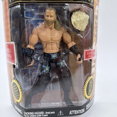WWE Jakks Pacific Shawn Michaels Deluxe Classic Series 4 Action Figure Belt Toy