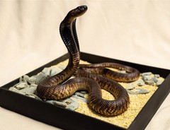 Snake Gorge Egyptian Cobra Figure Naja Haje Animal Model Adult Xmas Gift Toys