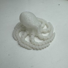 7.1inch 3D Printed Octopus Model,Articulated Animals Figure,Toys Home Decor