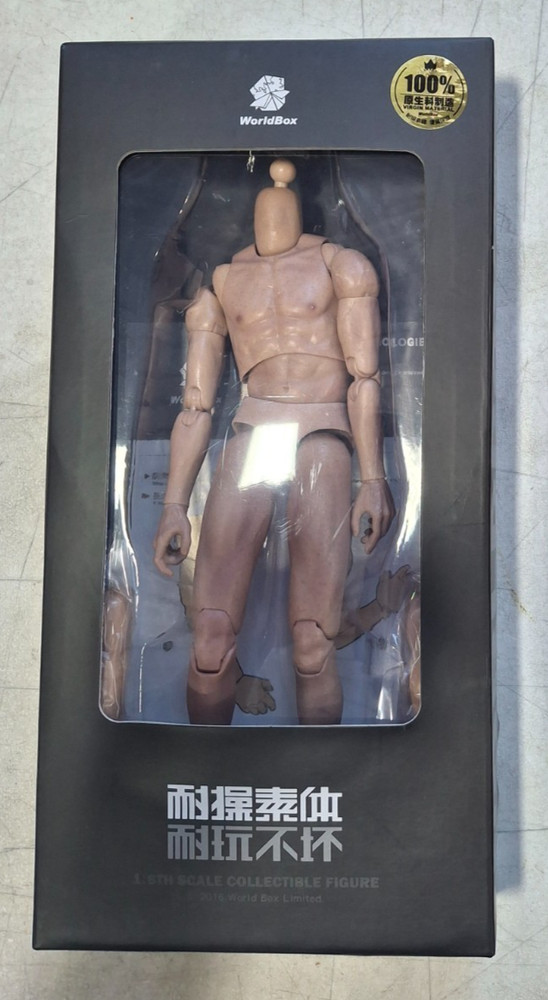 WorldBox World Box 1/6 Scale 12″ Crazy Durable Male Body New
