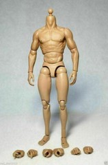 ZC Toys 12″ Muscular Male Action Figure Body Fit 1/6 Scale Hot Toys Head Sculpt