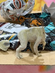 JURASSIC WORLD REBIRTH CAPTIVZ MYSTERY EGG FLOCKED D-REX RARE NEW