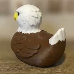 American Bald Eagle Duck – Original