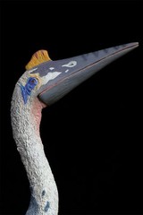 TNG Quetzalcoatlus Model Jurassic Dinosaur Animal Figure Toys Xmas Gift Decor