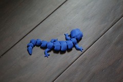 Cute Lizard